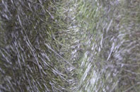 Upper Common fibreglass roof work